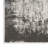 Machine Woven Polyester Area Rug in Cream/Gray-1271970957
