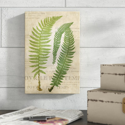 «Fern Folio III», impression sur toile