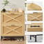 Armoire à chaussures-1349336291