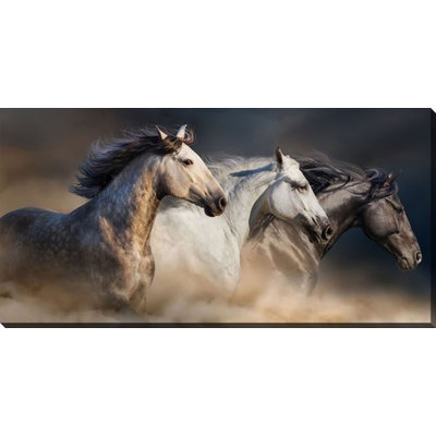 Art sur toile "Galop dans la poussière"