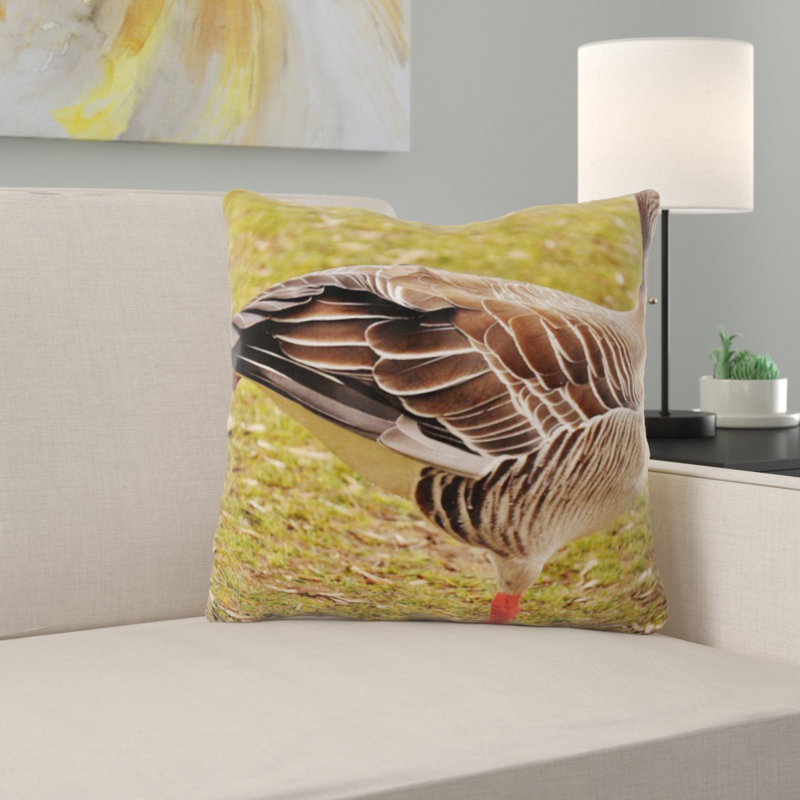 Coussin d’oie