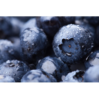 " Wet Fresh Blueberry "