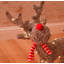 Christmas Decorative Accent