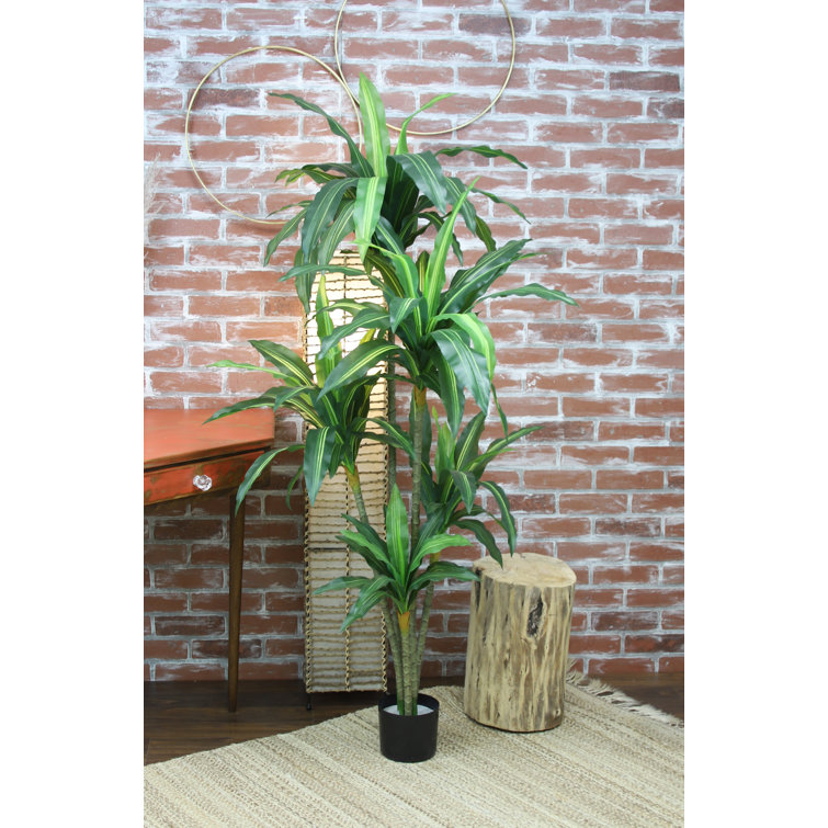 Origin 21 17-in Green Indoor Artificial Dracaena Artificial Plant in the Artificial  Plants & Flowers department at