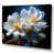 Toile tendue