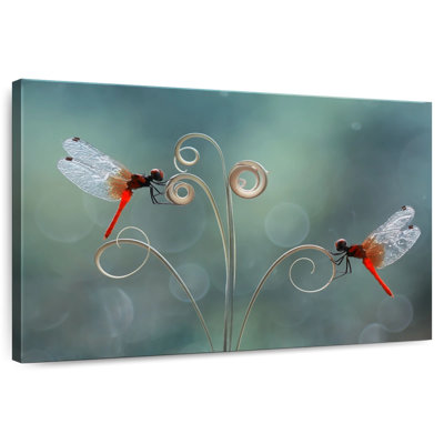 Tendrils And Dragonflies