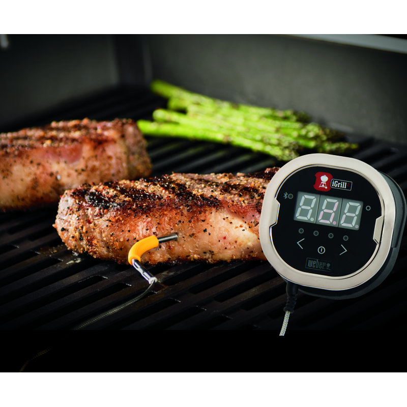 Weber I-Grill 2