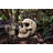 Sinister Simon Giant Skull Statue