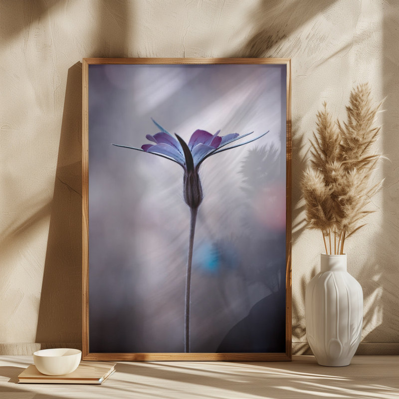 Wrapped Canvas Print, 121.92cm H x 81.28cm W