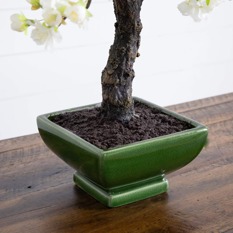 17'' Cherry Blossom Bonsai Tree in Decorative Vase
