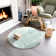 Diller Teal Faux Fur Machine Washable Shag Fluffy Area Rug