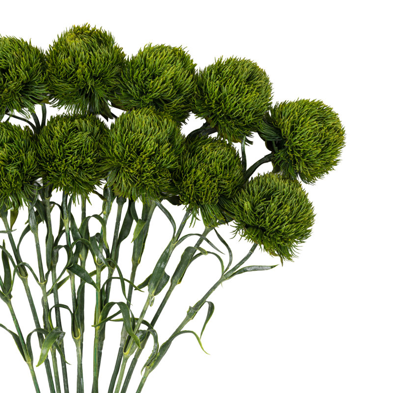 Arrangement