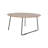 17 Stories Pemborke 31" Round Coffee Table – Oak Wood Top with Powder-Coated Iron Base, Modern Compact Living Room Center Table for Home and Office