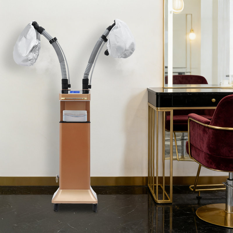 650W Professional Nano Hair Steamer