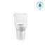 Toilette allongée à fixation au sol 1,5 gallons par minute GPV ETVIN (siège inclus) Andvin