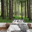 Arbre dans un paysage de forêt verte-88770040