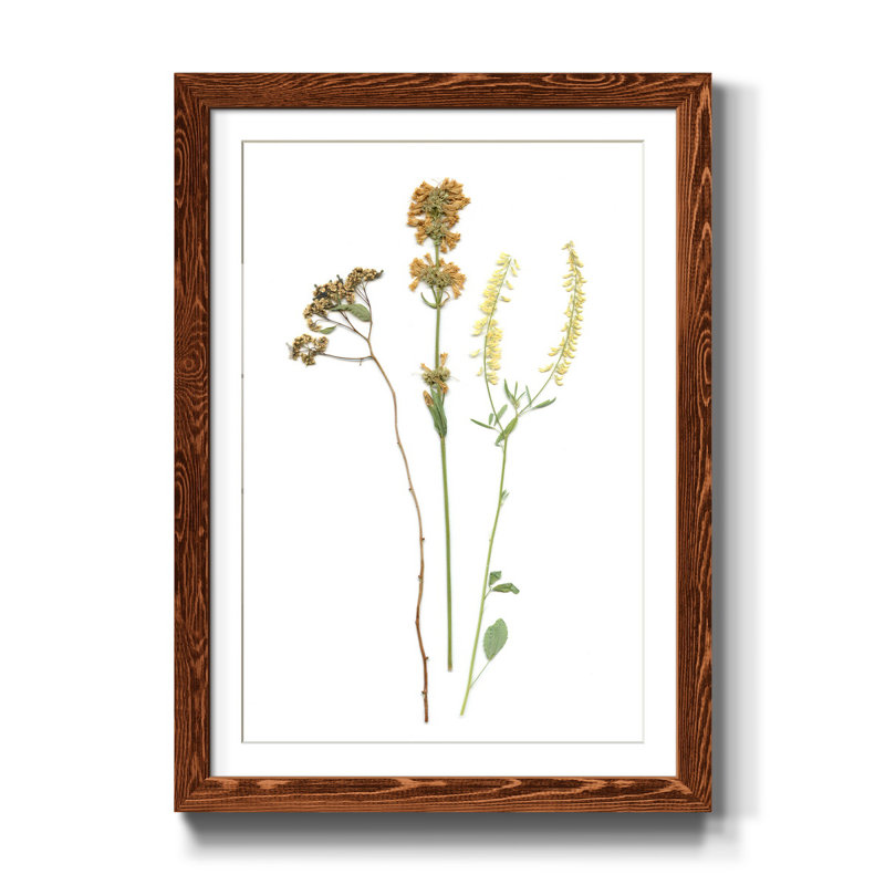 Pressed Botanical III - Cadre photo, reproduction d'art sur papier, H 44 po x l 31 po x P 1 po, Érable