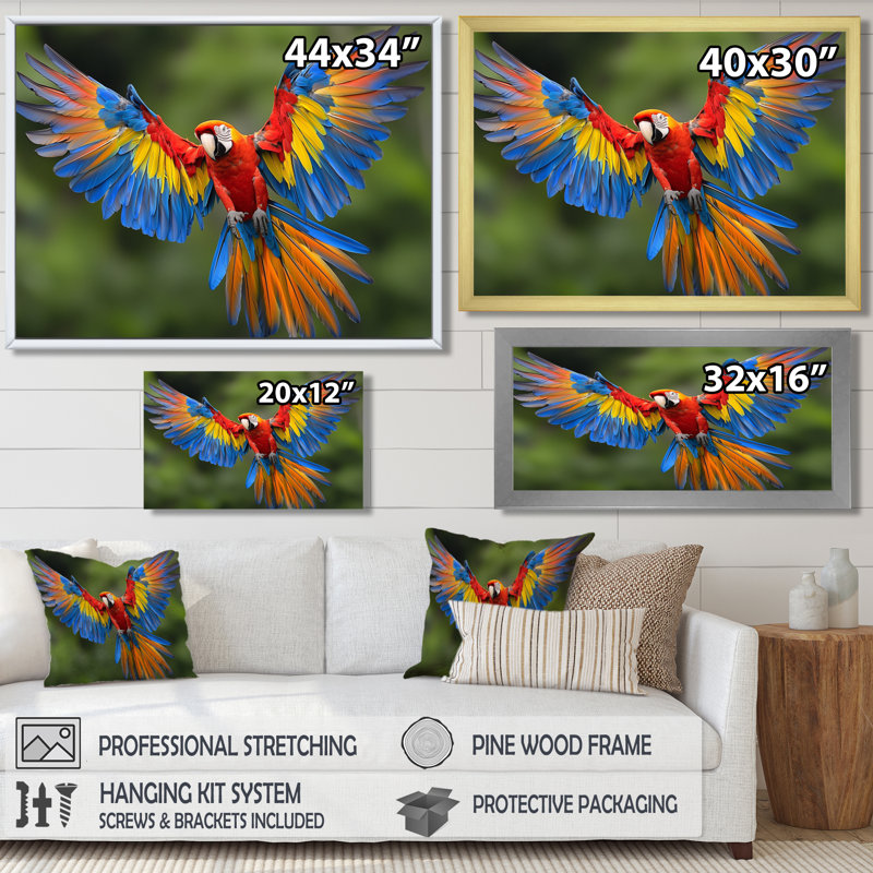 «Vibrant Macaw Flying Photo», art mural oiseau, H 24 po x l 32 po, Cadre flottant, Argent argent