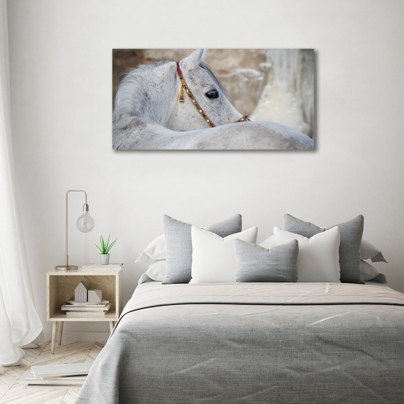 White Arabian Horse - No Frame Print on Canvas