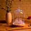 Pleasanton Cloche Or Water Globe-1983173279