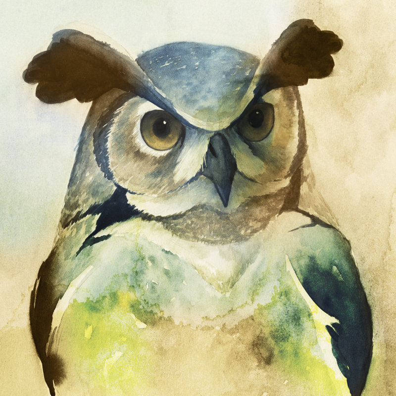 Harlequin Hibou II, H 12 po x l 12 po x P 1 po