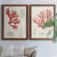 Coral Study III - Ensemble de 2 reproductions de cadres photo-1936258020-1936258016