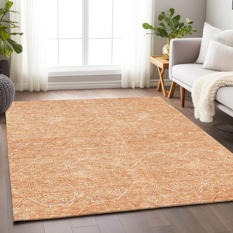 Machine Washable Indoor/Outdoor Claudian ACN1224 Salmon 9' x 12' Rug, Rectangulaire 3 pi x 5 pi