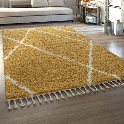 Reseda Geometric Shag Area Rug