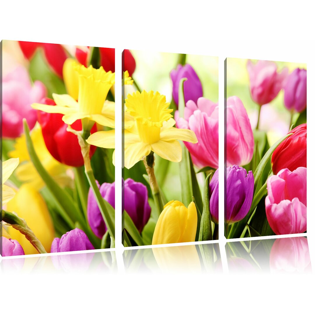 3-tlg. Leinwandbilder-Set „Farbenfrohe Osterglocken und Tulpen", Fotodruck