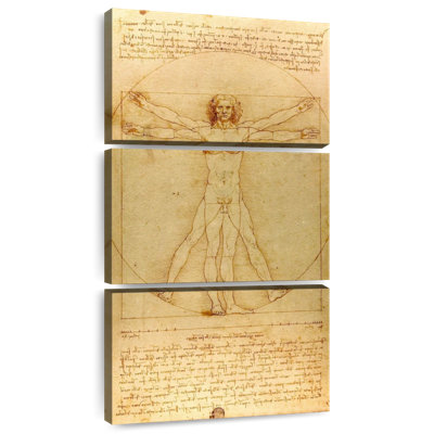The Vitruvian Man