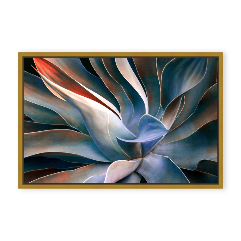 Nature Inspired The Colors in Leaves by  - Picture Frame Graphic Art on Paper, 32" H x 48" W x 1.125" D, Black