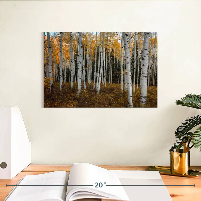 Alvord une forêt de trembles en automne, H 8 po x l 12 po