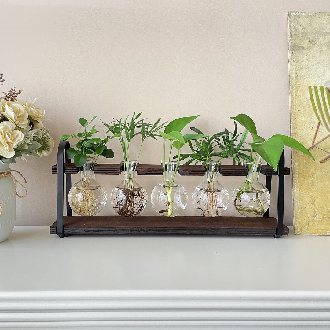 Plant Propagation Stations With Wooden Stand, Desktop Retro Plant Terrarium Bulb Vase For Indoor Hydroponic Flowers, Tabletop Glass Planter Housewarmi