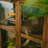 Solid Wood+Glass Display Cases