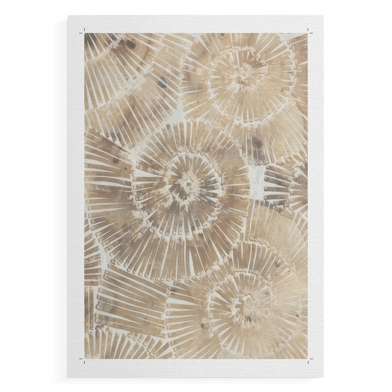 Fossil Nautilus II - Impression sur toile seulement - NON CADRE, H 27 po x l 18 po