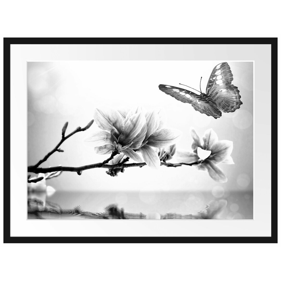 Gerahmtes Poster Schmetterling mit Magnolien-Blüte