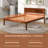 Argusta Platform Bed-1654832152-1654832155