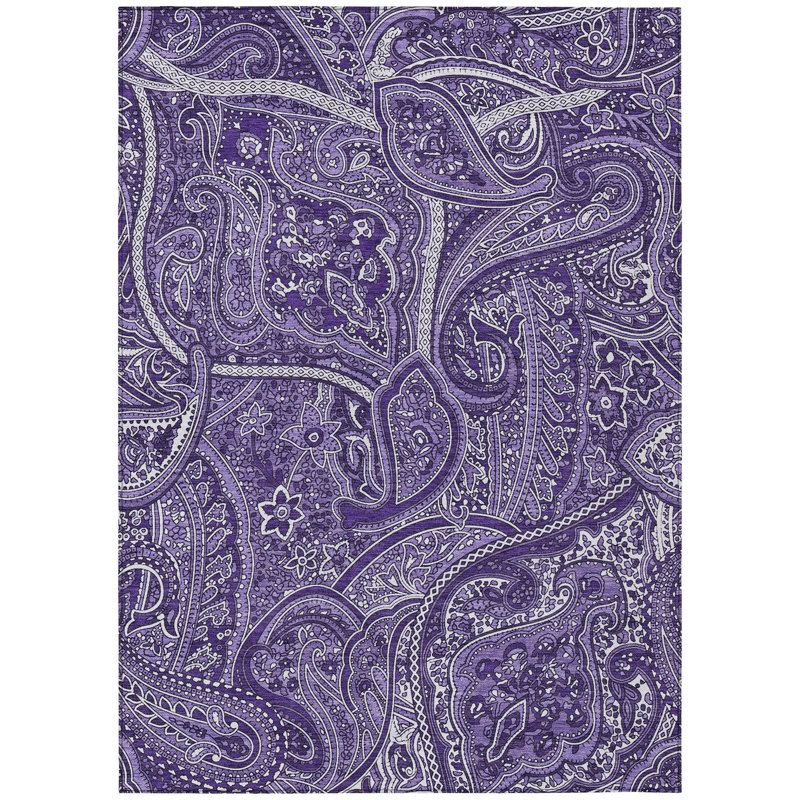 Paisley Indoor / Outdoor Rug, Rectangle 9' x 12'