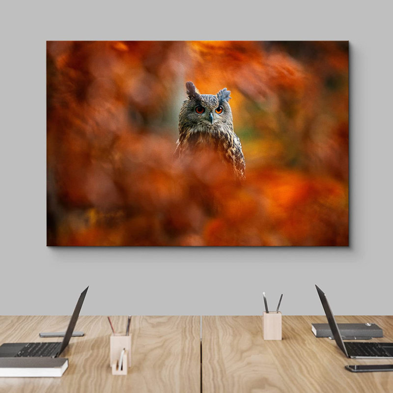 Grand-duc d'Amérique, arbre d'automne, nature sauvage - photographie, Toile tendue, L 18 po x H 12 po