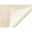 Area Rug in Ivory-64537324