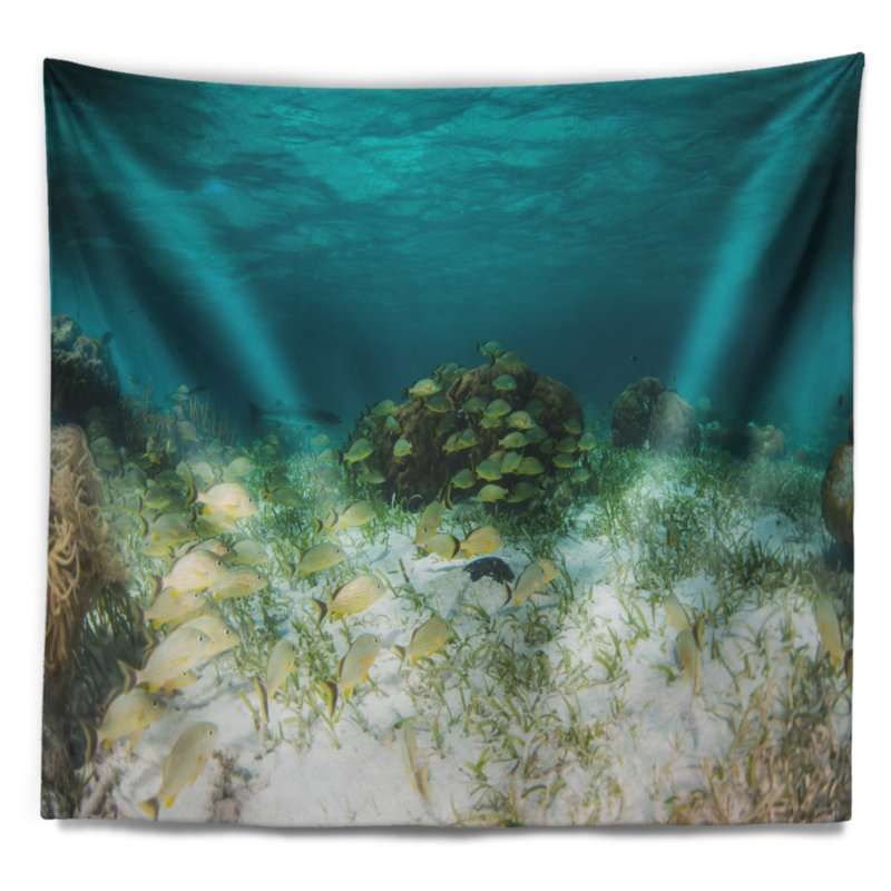 Grunts de polyester en shore de mer avec tapisserie baracuda avec accessoires suspendus inclus, H 32 po x l 39 po