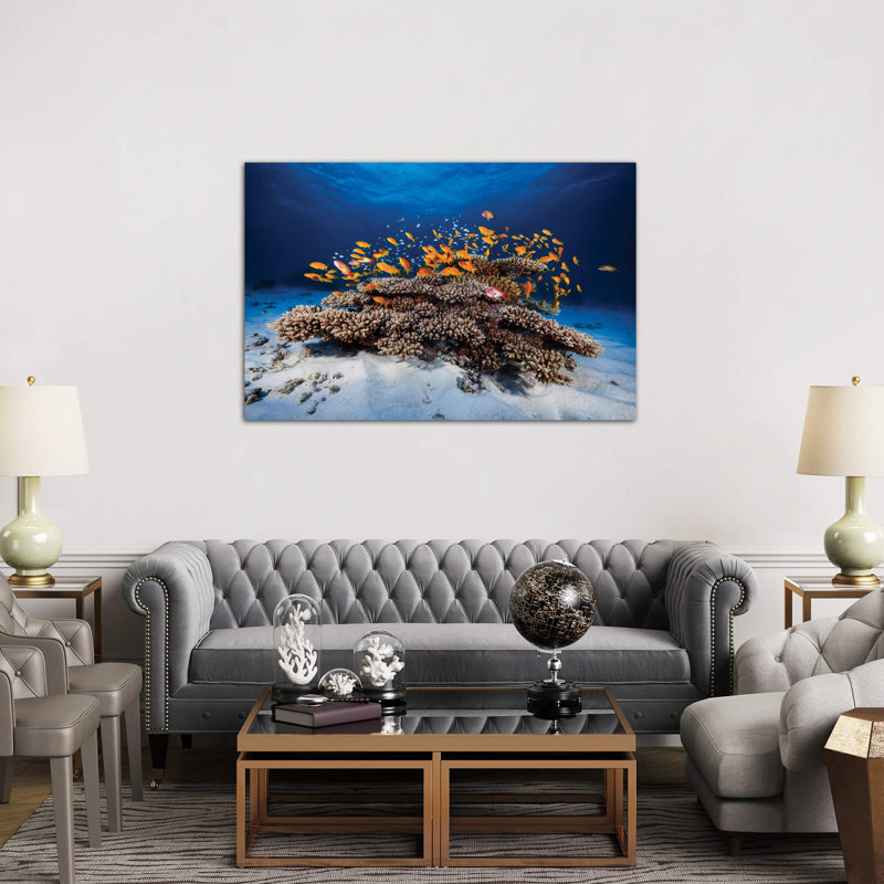 Marine Life 1 Piece Wrapped Canvas Wall Art, 66.04 cm H x 45.72 cm W x 3.175 cm D