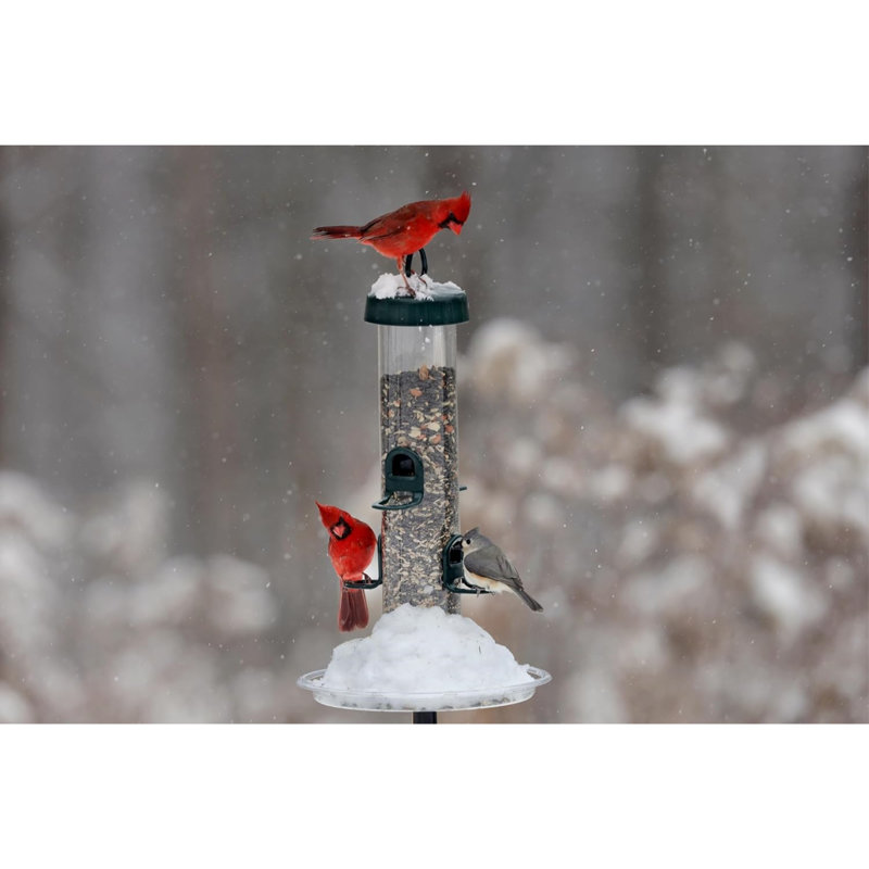 Brome Tube Solution Wild Bird Feeder, 3.4 lb Capacity, Clear