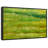 Green Fields Canvas Print-102358641