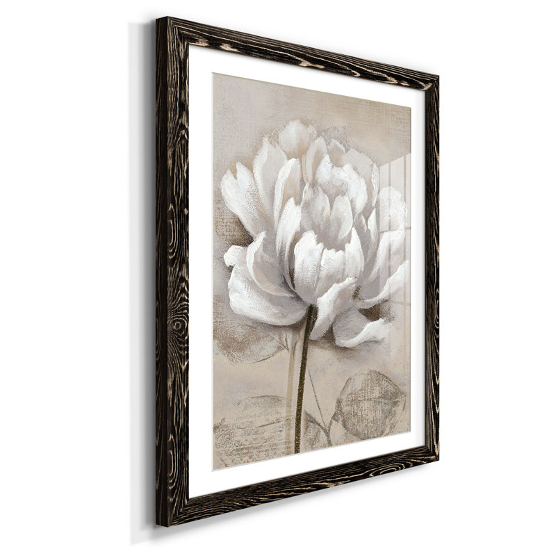 Doux blanc I - Cadre photo, reproduction d'art sur papier, H 44 po x l 31 po x P 1 po, Noir