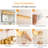 Kyneisha Vanity Light-418711418-432275769