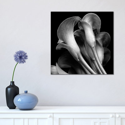 Lillies by Michael Harrison - Wrapped Canvas Print