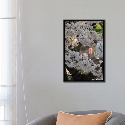 Pink Lantern Seen Through Cherry Blossoms Along Kitakami River, Kitakami, Iwate Prefecture, Japan by Panoramic Images - Unframed Gallery-Wrapped Canvas Giclée on Canvas