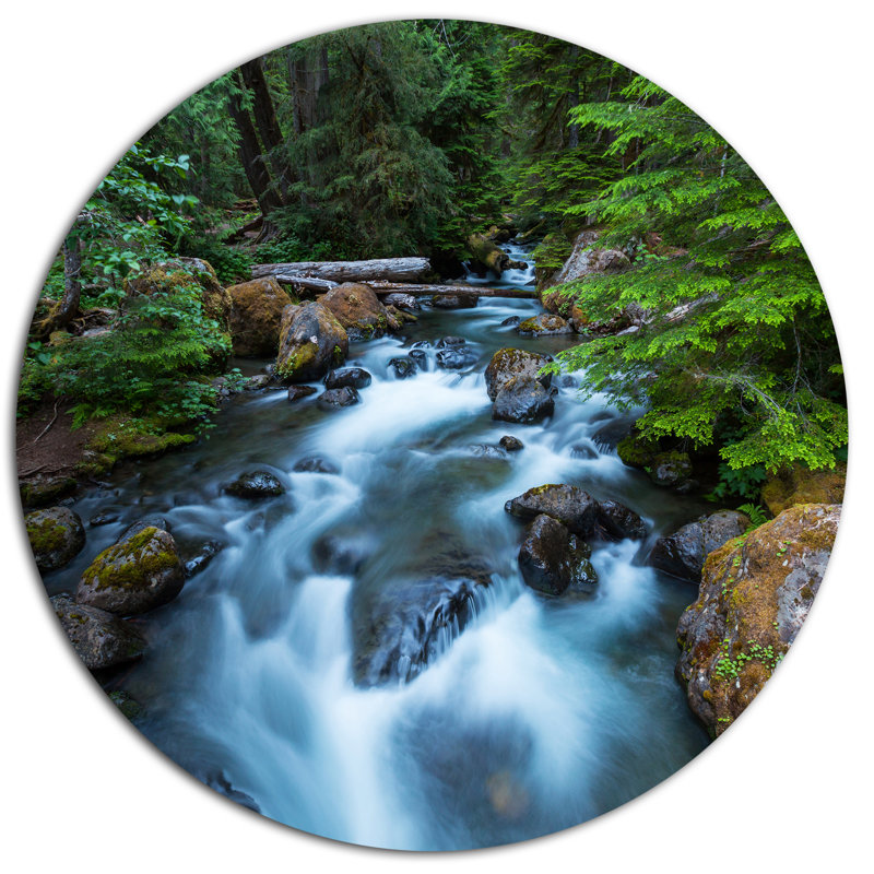 «Rush Water in Forest Creek», reproduction de photo sur métal, H 36 po x l 36 po x P 1 po