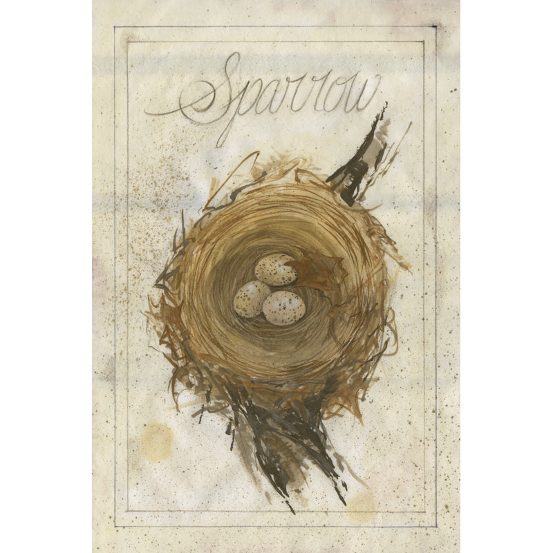 Nest - Sparrow - Wrapped Canvas Print, 46cm H x 30cm W